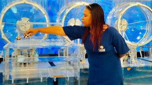 Moradora de Santo Amaro ganha o prêmio de R$ 1 milhão em maio